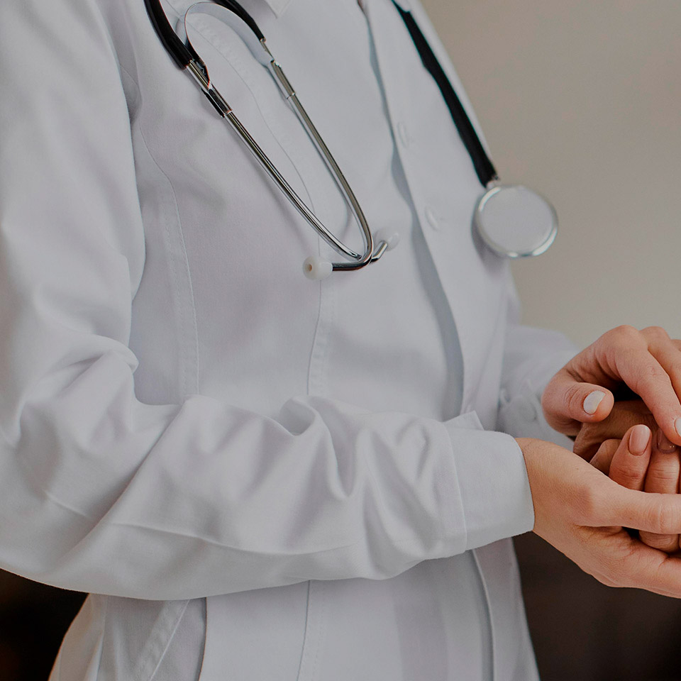 portada-nesa-lef1t portada-nesa-lef1t